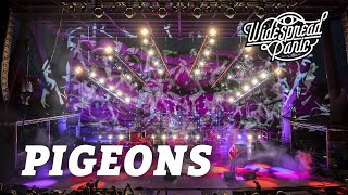 Pigeons (Live at Red Rocks)
