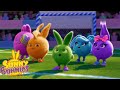 SUNNY BUNNIES - Bunnies Sports Team | Season 3 | Cartoons for Children