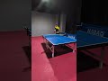 地味だけど、難しいトリックショット🏓　 #tabletennis #tennisdemesa #pingpong #trickshots