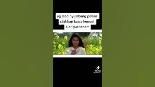 kata baba  lagu india kocak