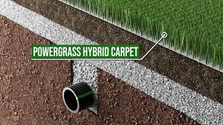 Erba ibrida - Hybrid grass POWERgrass