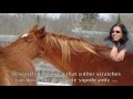 Strengthen the Bond with your Horse - Scratching / Grooming