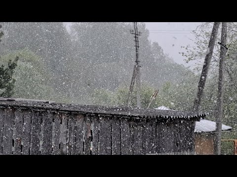 видео: 8.05.2024г. К нам пришла зима! Готовим и болтаем