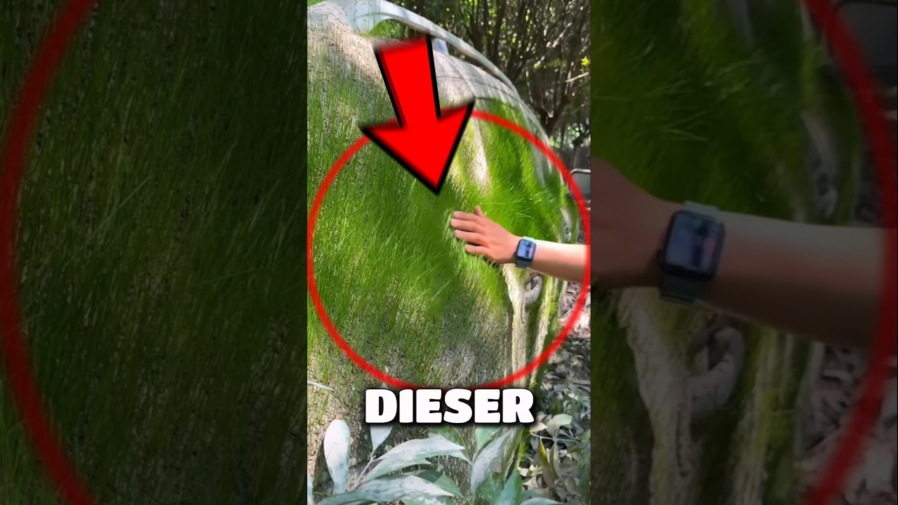 Dieser TYP REINIGTE DAS DRECKIGSTE AUTO DER WELT aber DANN WURDE ER MILLIONÄR!....💰😱