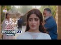 Main Manto Nahi Hoon Episode 23 - Promo - Humayun Saeed - Sajal Aly |  ARY Digital Drama