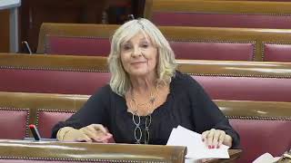 Interrogatorio comisario aeropuerto Barajas Delcygate - María Caballero (30/06/2026)