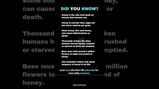 Smart nature of honey #amanzingfacts #facts #shorts #trending #didyouknow #viral #ytshorts #yt #fyb