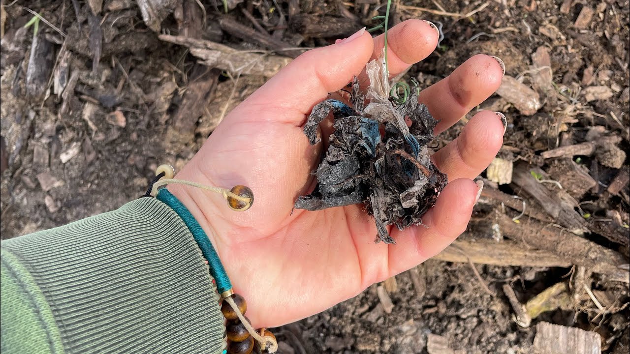 Compost. THE GOOD. THE BAD. AND THE UGLY! - YouTube