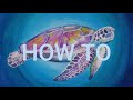 Beginning of video