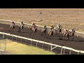 View race 5 video for 2019-09-07