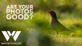 How do you know if your photos are good?