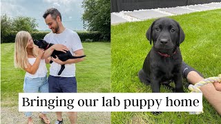 WE GOT A PUPPY! | bringing our black labrador home