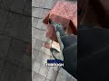What We Found On This Roof Shocked The Homeowner