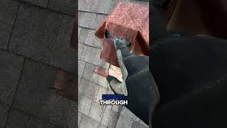 What We Found On This Roof Shocked The Homeowner