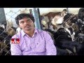 Success story of a sri kumar turns as goat farmer  hyderabad  nela talli  hmtv