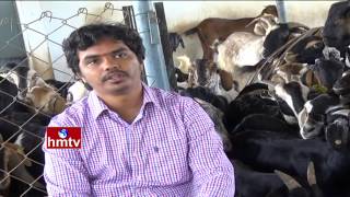 Success Story Of a Sri Kumar Turns as Goat Farmer | Hyderabad | Nela Talli | HMTV