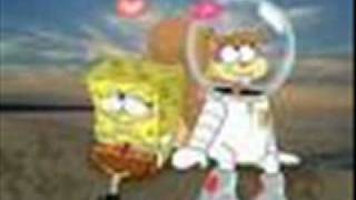 Spongyy And Sandyy
