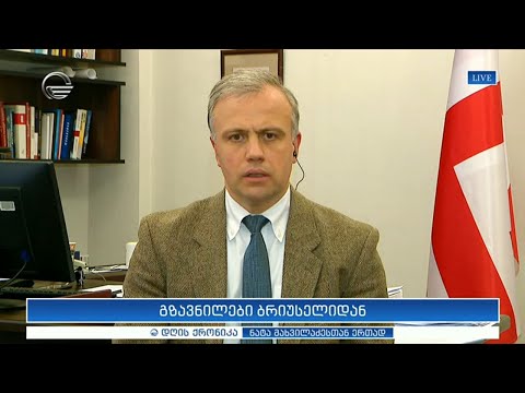 გზავნილები ბრიუსელიდან - გიორგი ხელაშვილი \"დღის ქრონიკაში\"