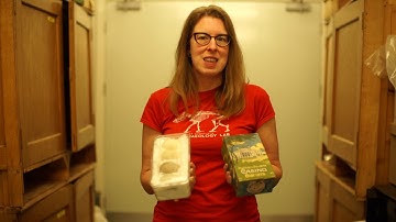 Collections: Eggs are for life, not just for Easter.