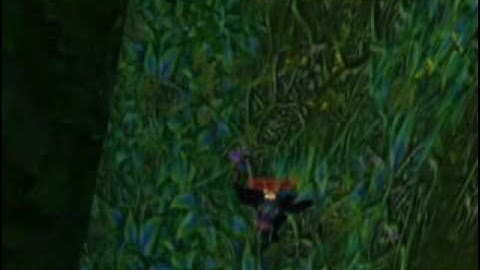 old zg exploration video