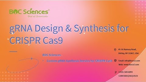 gRNA Design & Synthesis - CRISPR Cas9 - Guide RNA (gRNA) in CRISPR - BOC Sciences