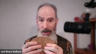 The Disc Has Infinite Space Inside