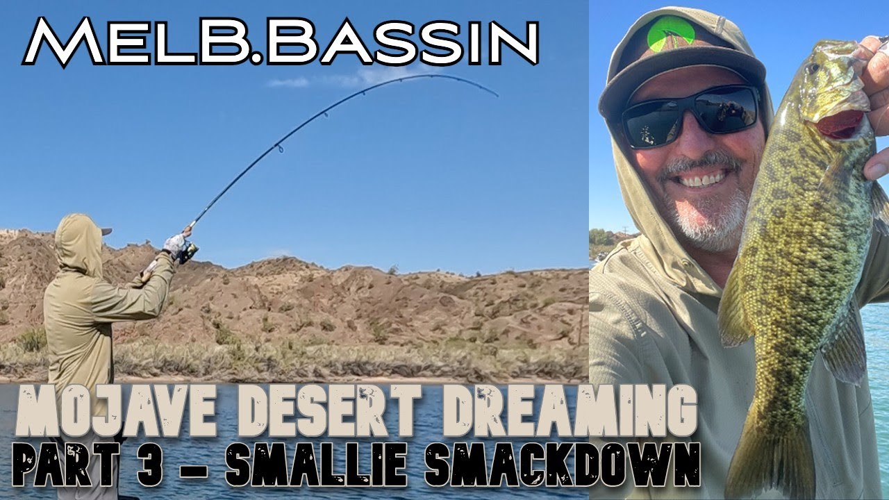 MOJAVE DESERT DREAMING – PART 3 – SMALLIE SMACKDOWN – PARKER BASS FISHING