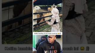 Ketika kambing Di PhP sama bocah ini 😂 #ngakak #lucu #viral #shorts #funny