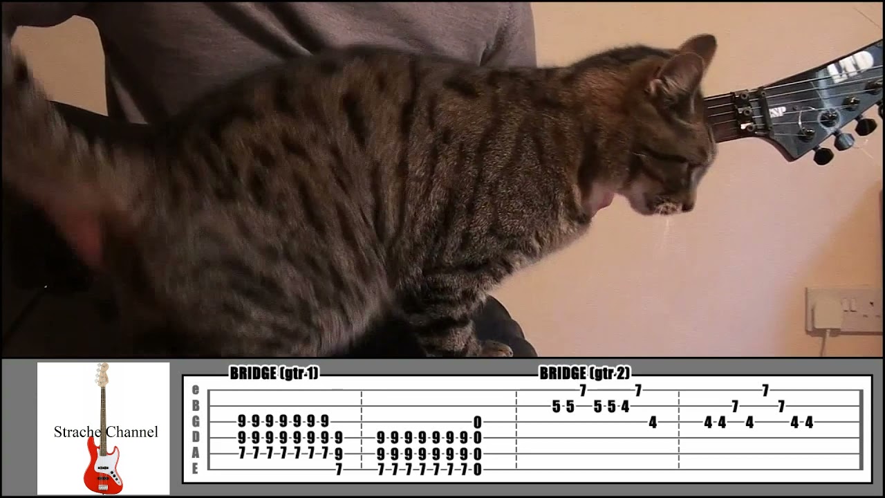 Green Day - Know Your Enemy Performances & Jam Track best guitar lessons tabs
