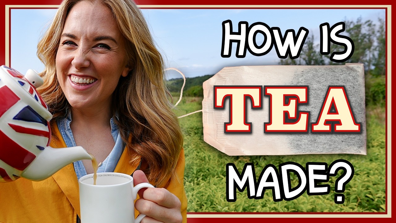 How is Tea made? (from leaf to cup!)| Maddie Moate