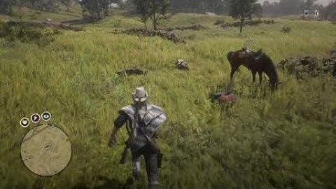 Defend a Campsite (Scarlett Meadows) - Red Dead Online Dynamic Event