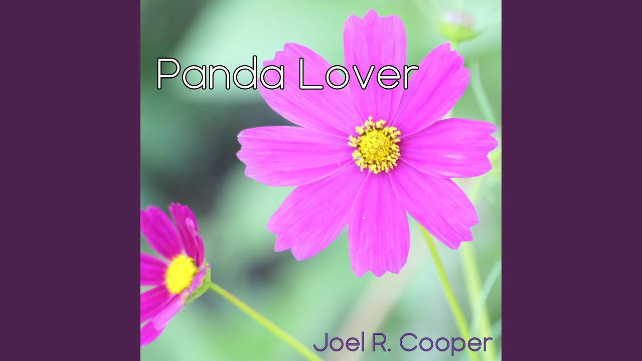 Watch Panda Lover on YouTube Watch Panda Lover on YouTube