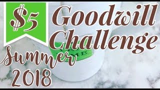 $5 Goodwill Challenge | Summer 2018