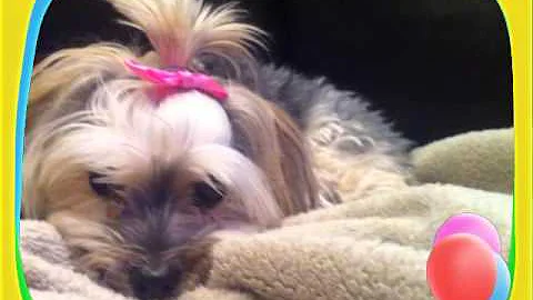 Gucci Turns 6