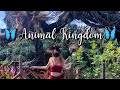 How To Have The Best Day at Animal Kingdom | Disney World 2021| Lucy Gregson Vlog