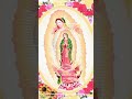 Bendita eres Virgen María madre de Dios y madre nuestra #wsmrab #silviawind