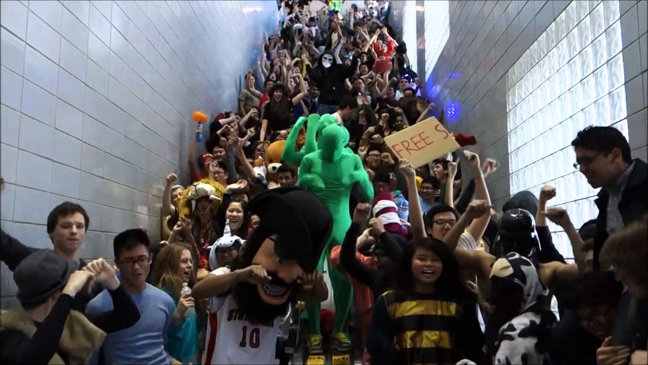 Stuyvesant Harlem Shake v3.14159265358979323846264