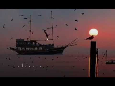 متفكرنيش عمرو دياب