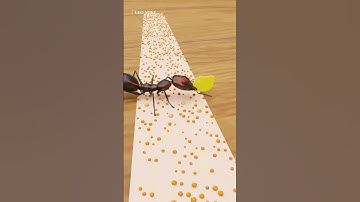 How Pesticides Kill Ants?