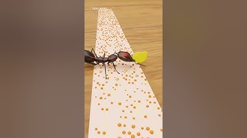 How Pesticides Kill Ants?