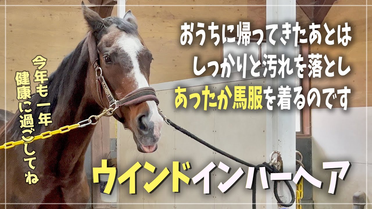 【ディープインパクトの母】洗い場でさらに美しくになる♪ウインドインハーヘア