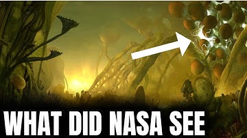 NASA just opened the largest sample of an asteroid but saw unexpected things inside