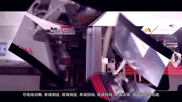 Fully automatic double head tinning machine