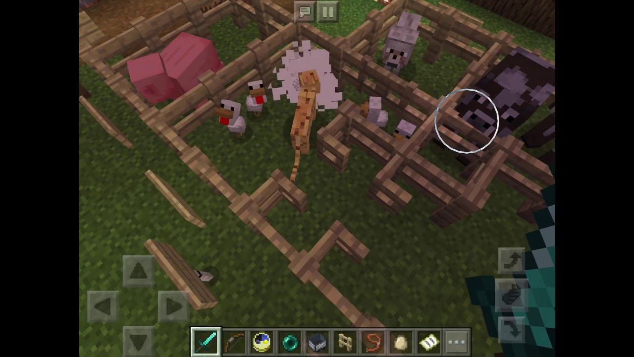 Ocelot eating chickens in my zoo in Minecraft YouTube