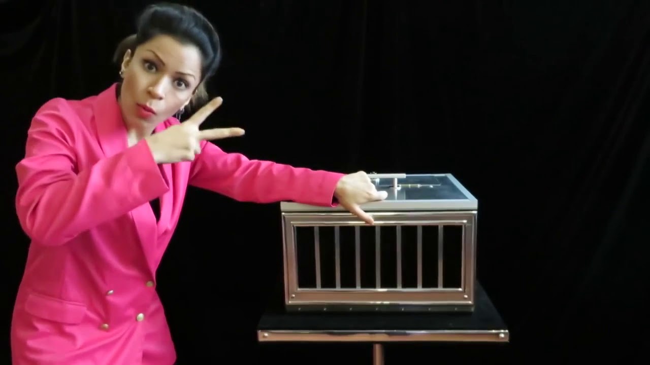 Woman Does The Best Magic Turns Rabbit To Dove - YouTube