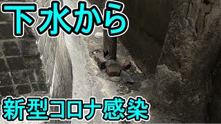 下水から新型コロナウイルスに感染
