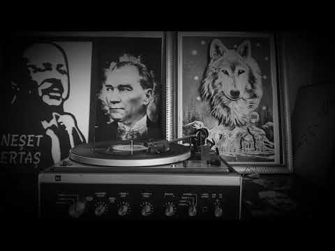 Neşet Ertaş - Gitme Leylam (Orijinal plak kayıt)