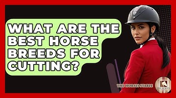 What Are The Best Horse Breeds For Cutting? - The Horses Stable