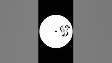 Niqo – Lucy Pearl (Mambo Records 001, Mambo Records, 2025) [UK Garage]