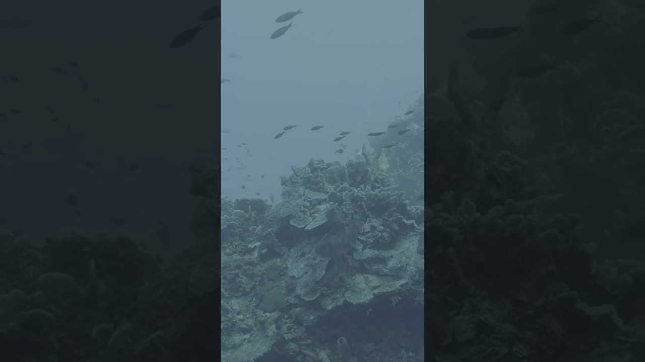 Floating through life enjoying the view 